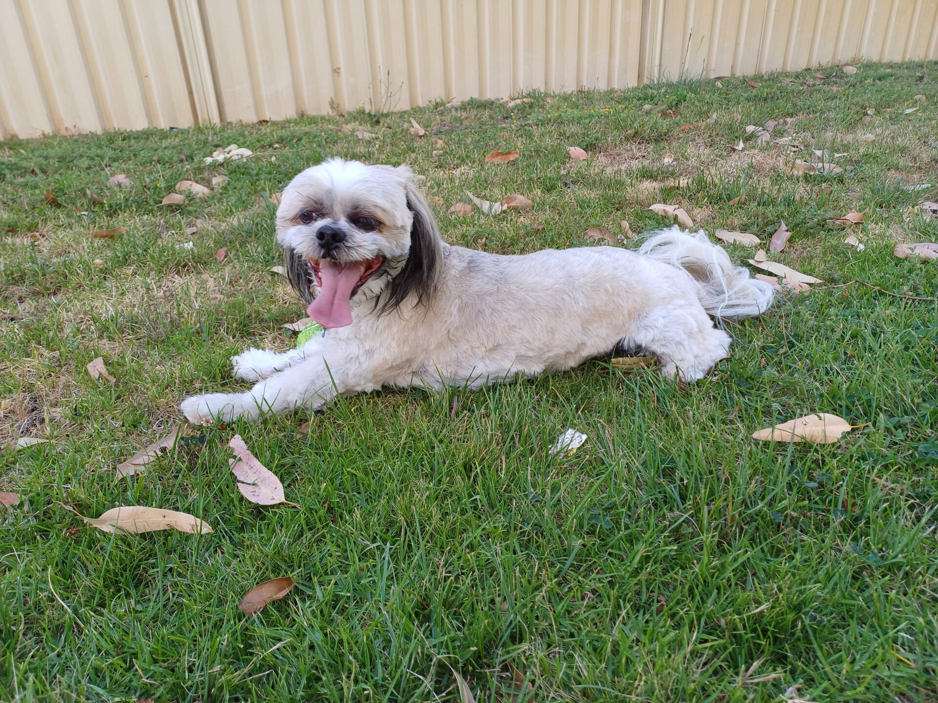 Virginia and Rocky – POOP’s