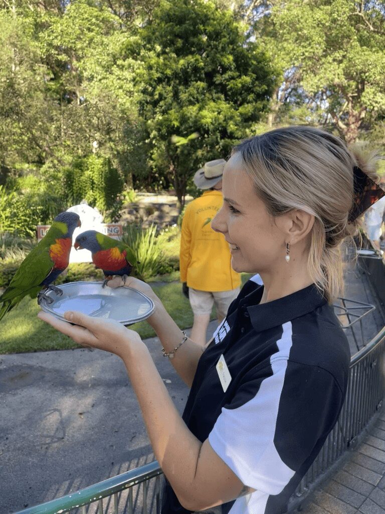 Ashleigh Snow with two rainbow lorikeets at Currumbin Wildlife Hospital