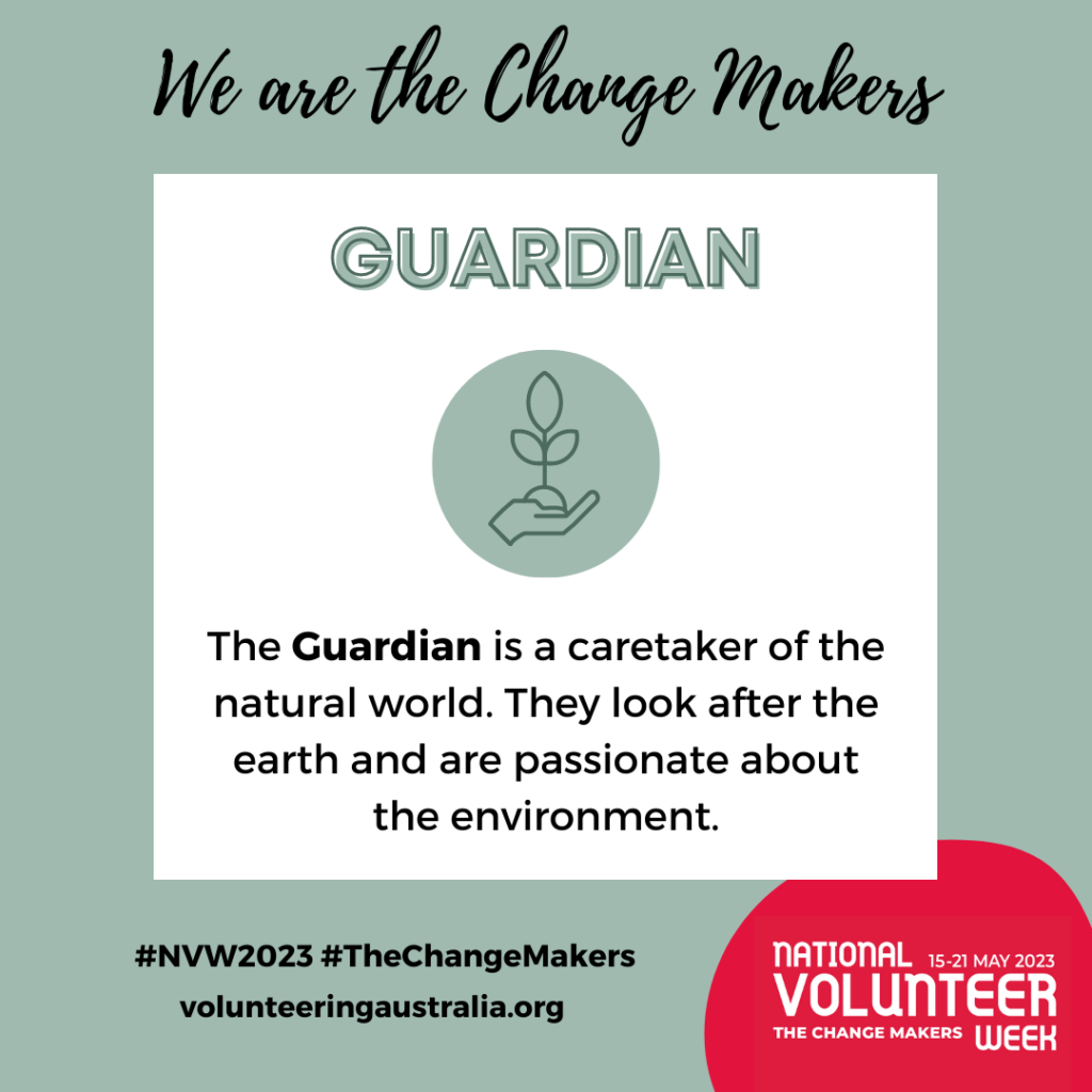 The Guardian is a caretaker of the natural world. They look after the earth and are passionate about the environment.