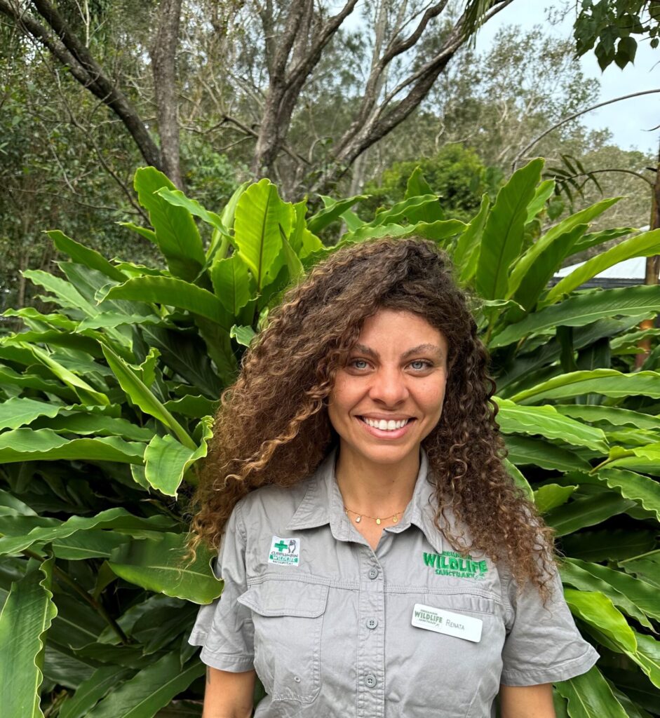Renata at Currumbin Wildlife Hospital